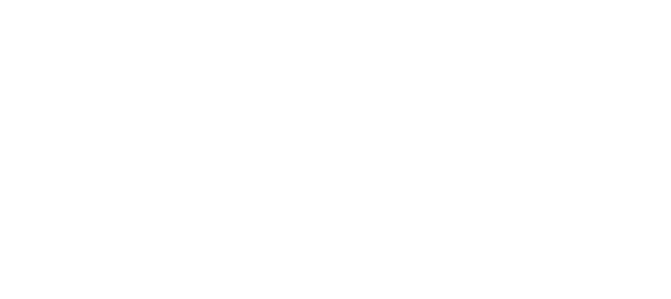 VERKA SERDUCHKA & BAND